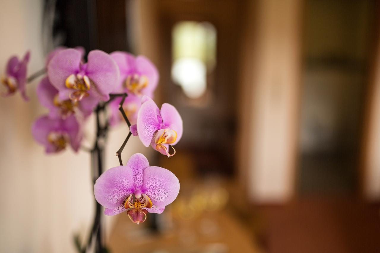Hotel Zehnthof Ürzig Eksteriør bilde